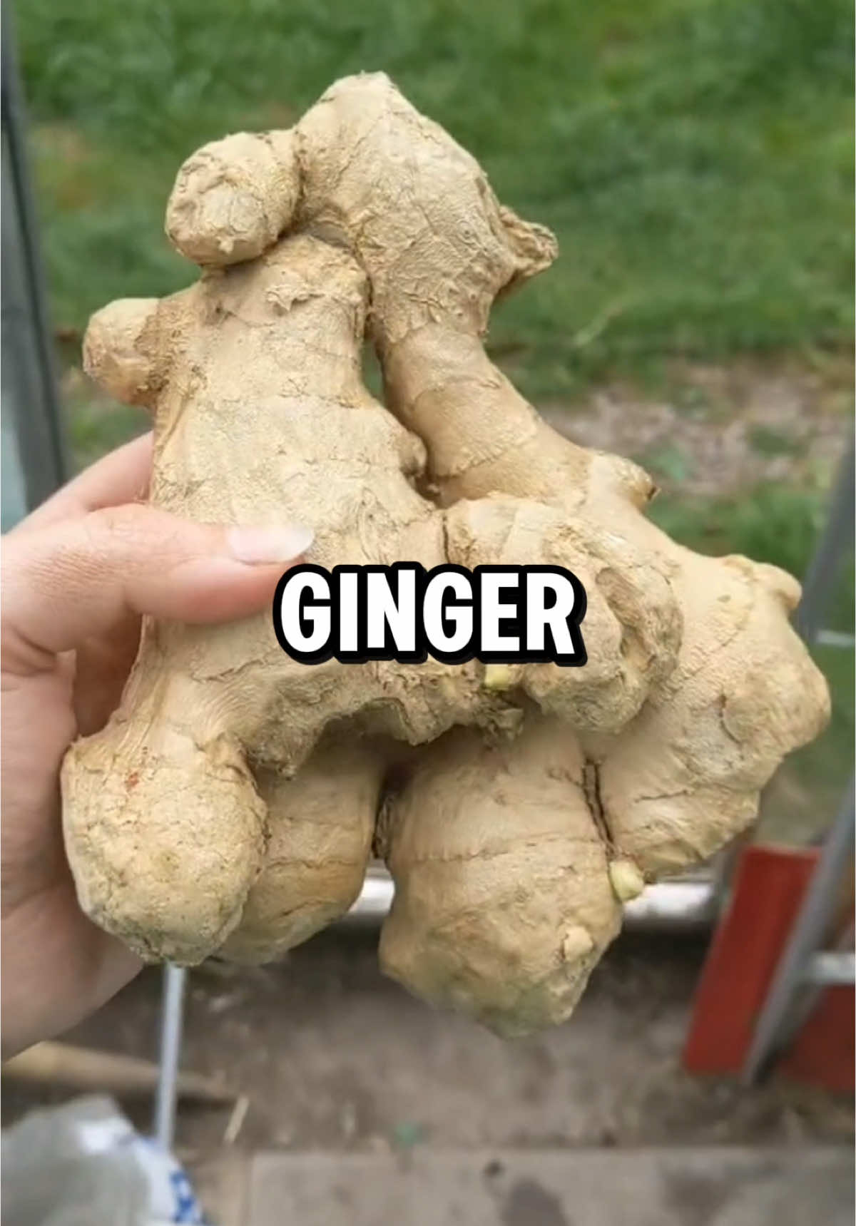 Did you know ginger can help…#health 