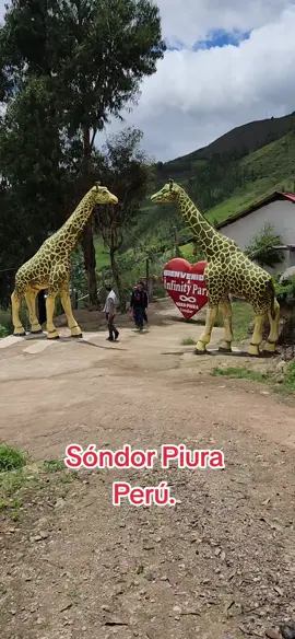 #sondor #huancabamba🍃🌧📸🥰 #piura #lugaresturisticospiura #piuranitabonita❤️ #paratii #sondorillo #turismopiura #sapalache #juegosextremos #piuranos #infinityparksondor 