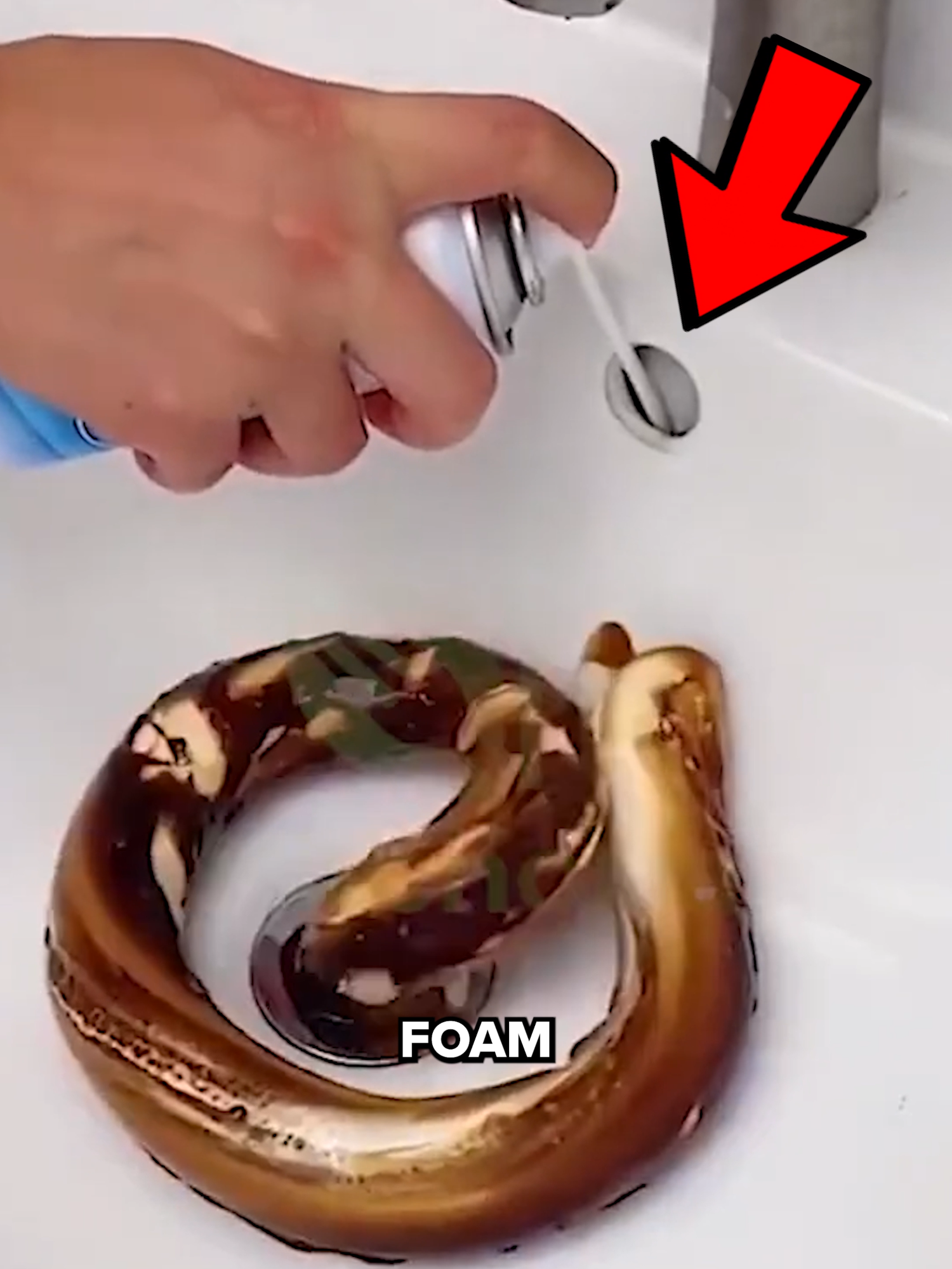 Magic Cleaning Foam!