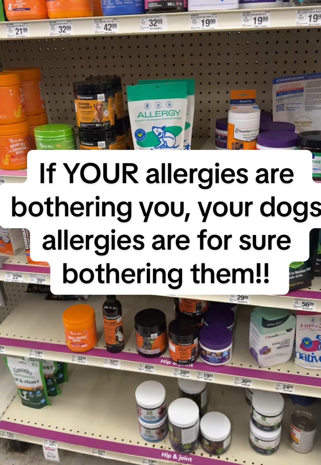 These have worked wonders for my dog & many dogs I know that suffer with seasonal allergies! #dogallergies #dogallergyrelief #dogsoftiktok #dogs #dogparents 