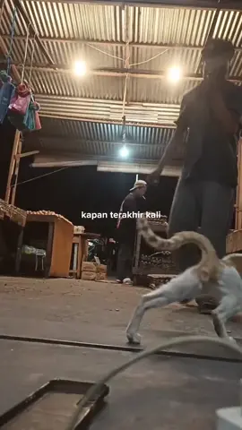 #pejuangrupiah #kerja #fyp #pejuang #subuh 