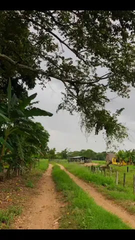 Parte 3 | SentirLlanero🤠 |Jorge Guerrero #arpayllano #musicallanera #musicallaneraparaelmundo #llanoapureño #llanosorientales #llanerasvenezolanas🇻🇪 #llanerasromanticas #llanerasparaestados #parati #viraltiktok 