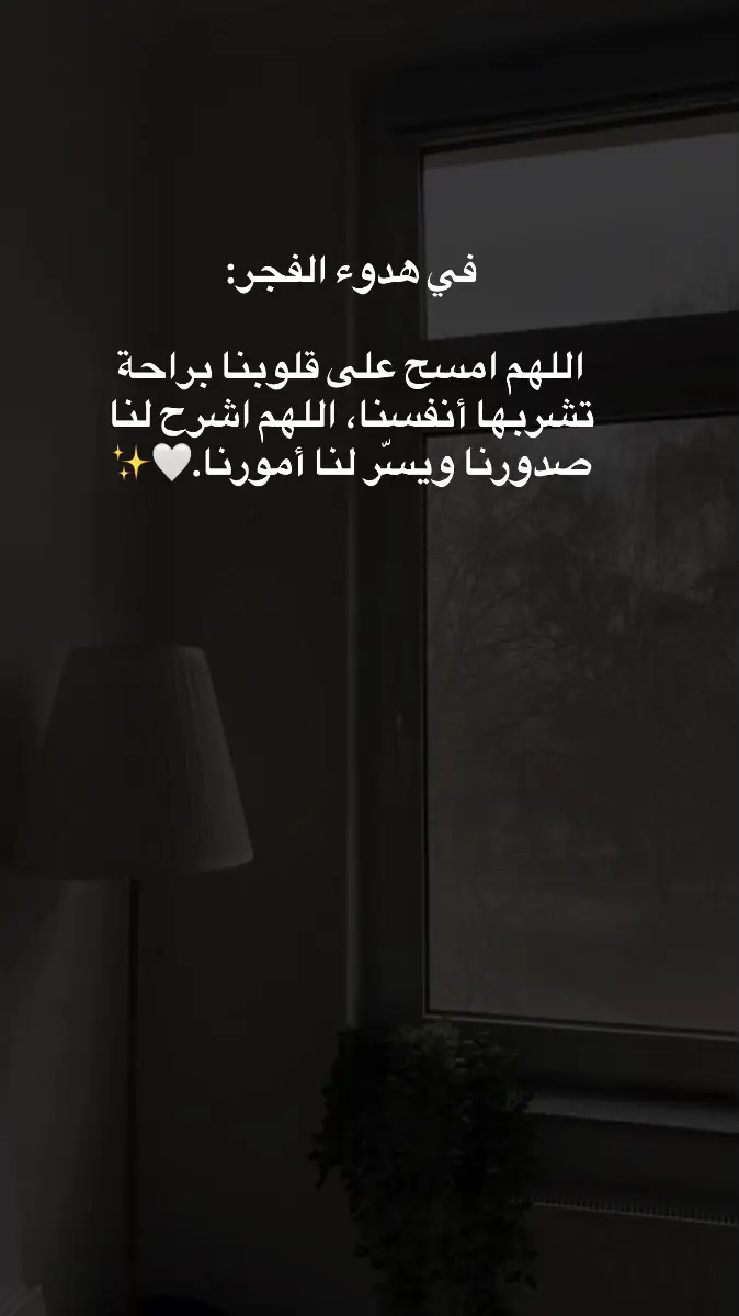 #ليطمئن_قلبك #❤️ 