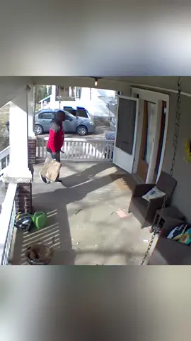 Dog chasing postman #dog #pet #animals #usa🇺🇸 #foyou 