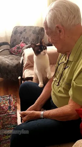 The cat and the elderly❤️❤️❤️#cat#catlover#heartwarming #fyp