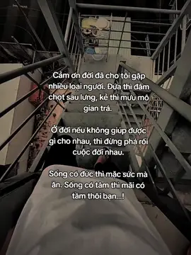 Cảm ơn...! #hoanganh29012003 #fyp #tamtrang #sory #cuocsong #zbcxya 