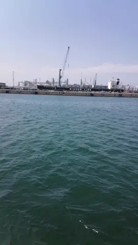 Mar del Puerto de Veracruz ⚓ #viral_video #videoviral #mar #veracruz 