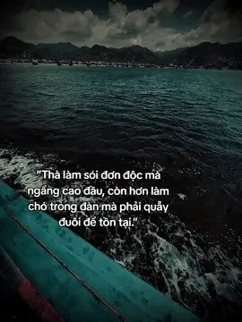 “宁可做一匹昂首挺胸的孤狼，也不要做一条为了生存而摇着尾巴的群狗。” #hoanganh29012003 #fyp #tamtrang #sory #cuocsong #zbcxya 