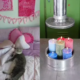 #xh #xuhuong #cat #pet #catsoftiktok #catfunny #fyp #foryou #viral 
