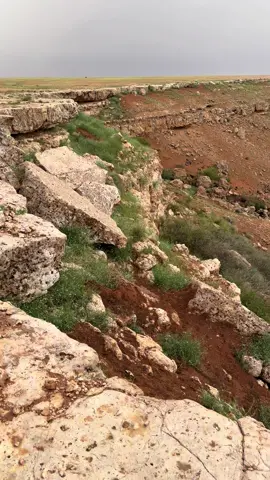 حوران مم