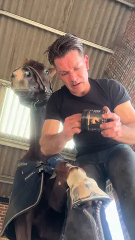 🌟Add Hydration & Protection with Tyler’s Hoof Products !!! uk based .. link in bio #farriersoftiktok #farriertok #wildanimals #horses #hoof #videos #horseshoes #equestrian #equine #hoofoil #hoofhealth #cotswolds 