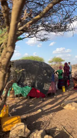 #hiiraan_somalia #miyi #explore #fyp #saalaxjeere #FYP #dalxis #