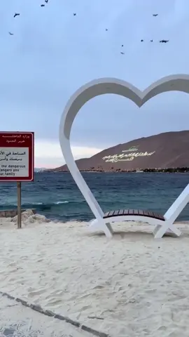 #اكسبلور #حقل_تبوك_شاطئ_حقل 