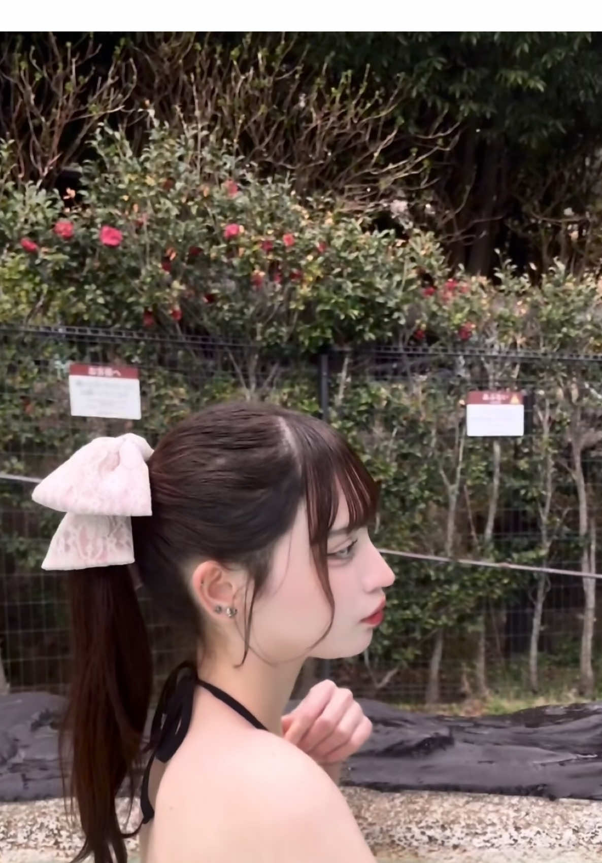 suichu