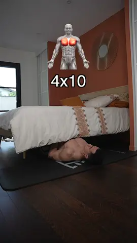 Beginner home workout ! 👌 @Tibo Inshape Nutrition 