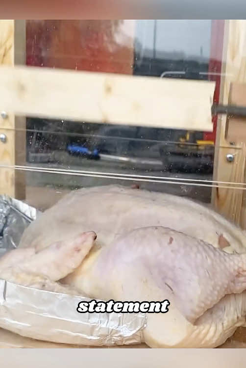 Will chicken really be cooked if you pat it quickly?#us #knowledge #chicken 