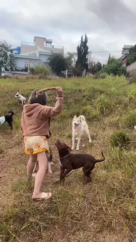 Ngày nào cũng đúng h là đi chơi thôi