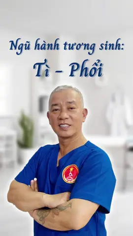 Nguyên lý Ngũ hành tương sinh: Tì - Phổi  #huekhong #dongy #suckhoe 