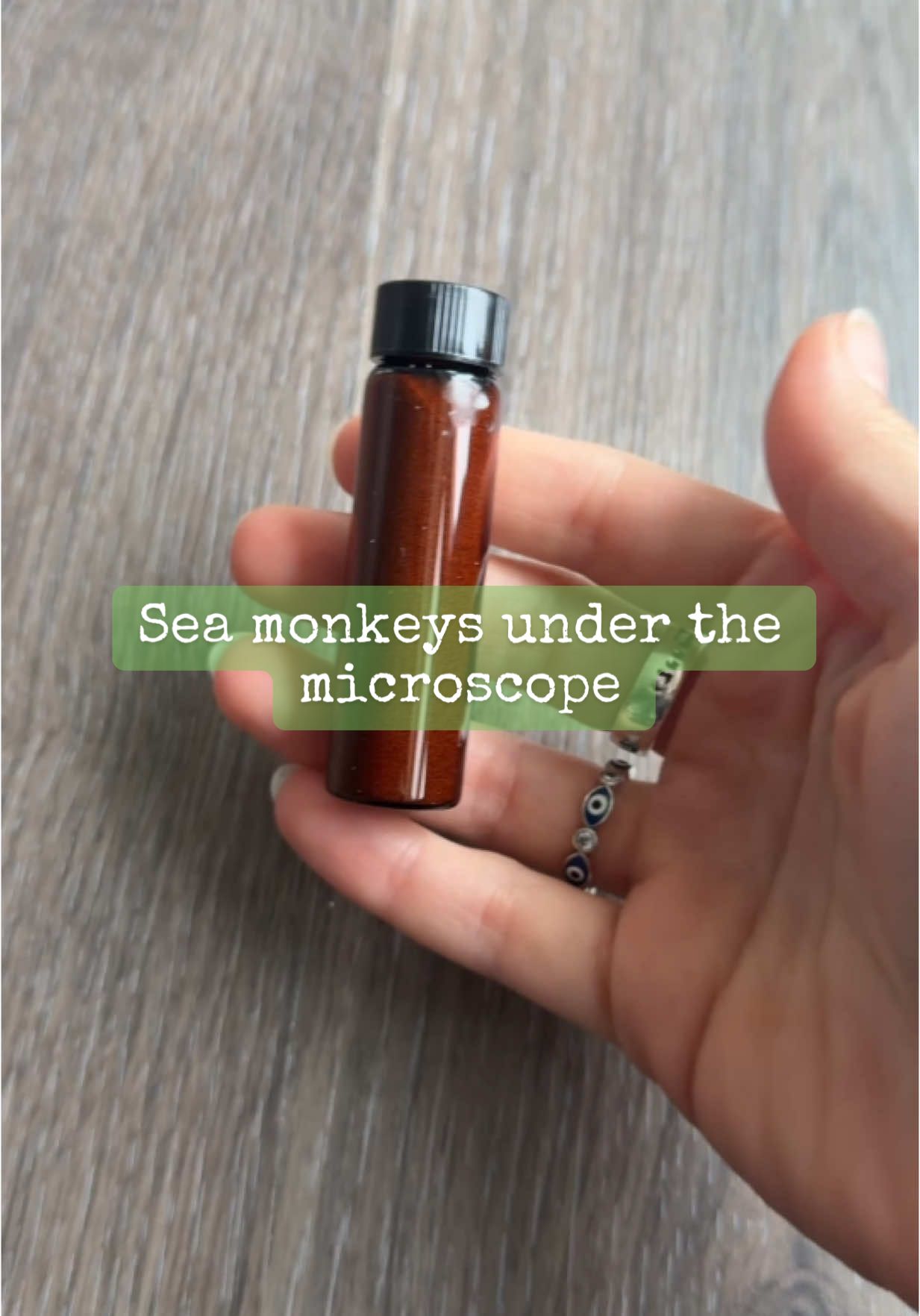 This bottle holds 100,000 sea monkey eggs that I’m hatching under the microscope 