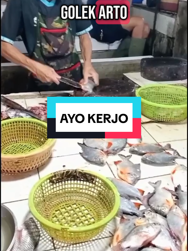 Ayo semangat kerjo, kerjo opo wae ora perlu gengsi #musik #musikviral #laguviral #lagujawa #lagutrending #ayokerjo #cileungsi #pasarciluengsi  #fyp #4upage #4u #fypage #xyzbca #musikindonesia #music #lyrics #just4fun 