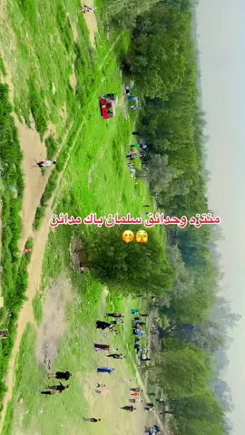 #متابعه #سلمان#باك #مدائن 