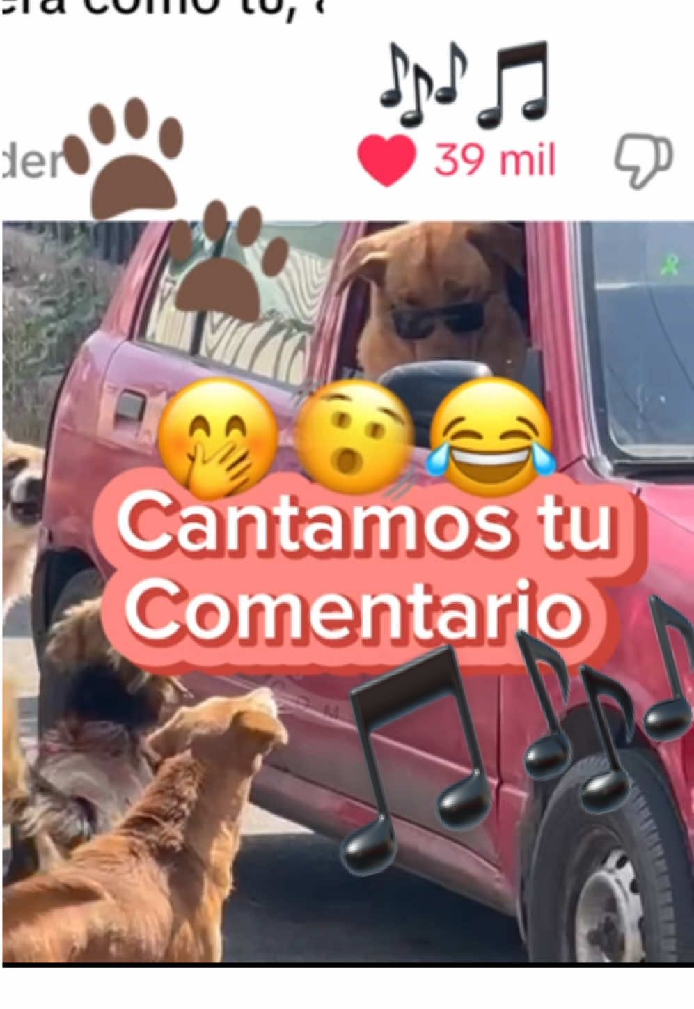 @Juanluis Vergara Flores  🏷️🚨 etiquétanos videos con comentarios graciosos y nosotros lo haremos canción 🎶🎵 #cantandocomentarios #cantándoloscomentarios #elperropoeta #lavidadeuncritico #perroconlentes #humor 