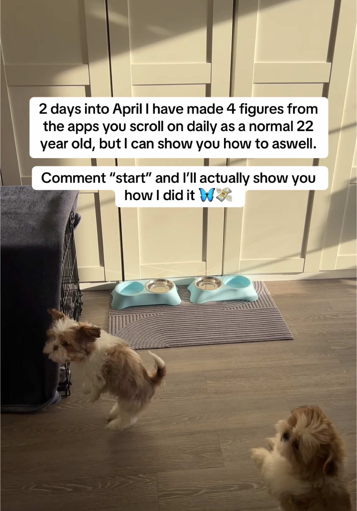 2 days into April and here we are. Comment “start” and I can send you a FREE course on how to do the same 🦋💸 #digitalmarketingforbeginners #startdigitalmarketing #onlinebusiness #digitalmarketingjourney #digitalproducts 