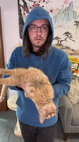 Managing my cat’s complex medical condition #cat #catsoftiktok #catlovers #viralcats #funnycat #orangecat #orangecatbehavior 