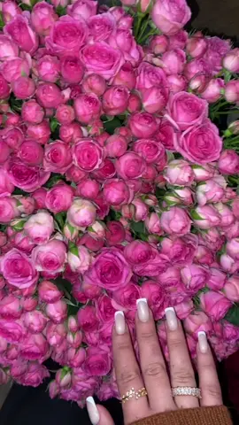 🥹💘 #beautyflowers💐 #beauty #monaneautyflowers💘 #rose #yerevanarnenia #rose #рек #рекомендации 