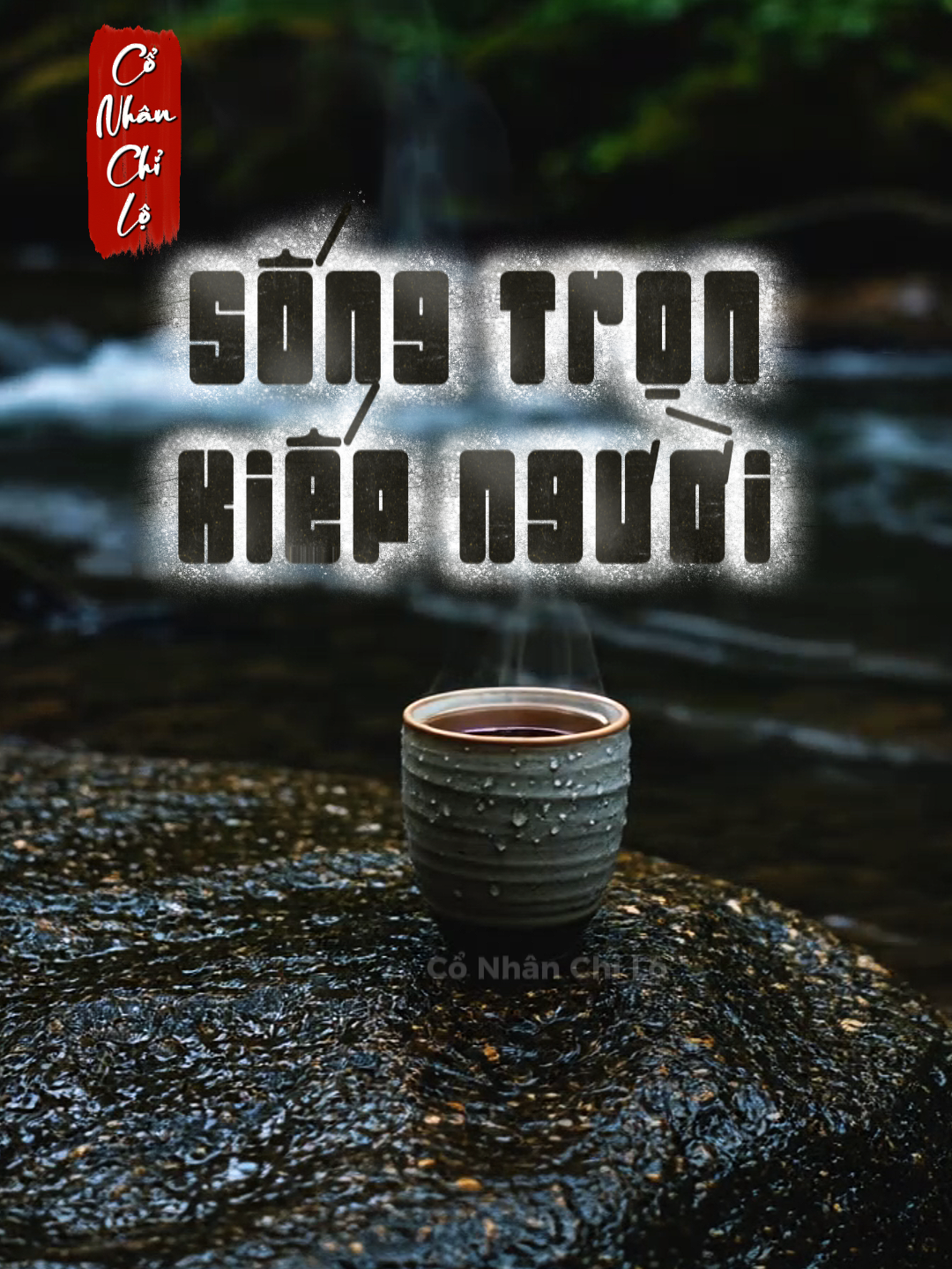 Làm sao để sống trọn một kiếp người? #trietlycuocsong #baihoccuocsong #suyngam #cuocsong #conhanchilo