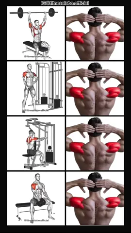 ✅ Shoulder Workout at The Gym  ① Overhead Press ② Cable One Arm Lateral Raise  ③ Reverse Fly  ④ One Arm Front Raise  3 sets 12-15 reps  #Fitness #gym #exercise  #workout #workoutroutine  #exercisetips  #fitnesstips  #bodybuilding  #shoulder #shoulderworkout 