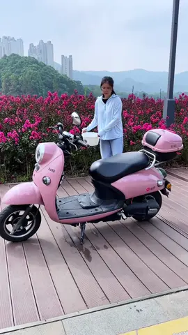 Universal Seat Cover #motorcycleseatcover #antislipseatcover #universalseatcover #3dmeshseatcover #breathableseatcover #motorseatcover #seatcovers 