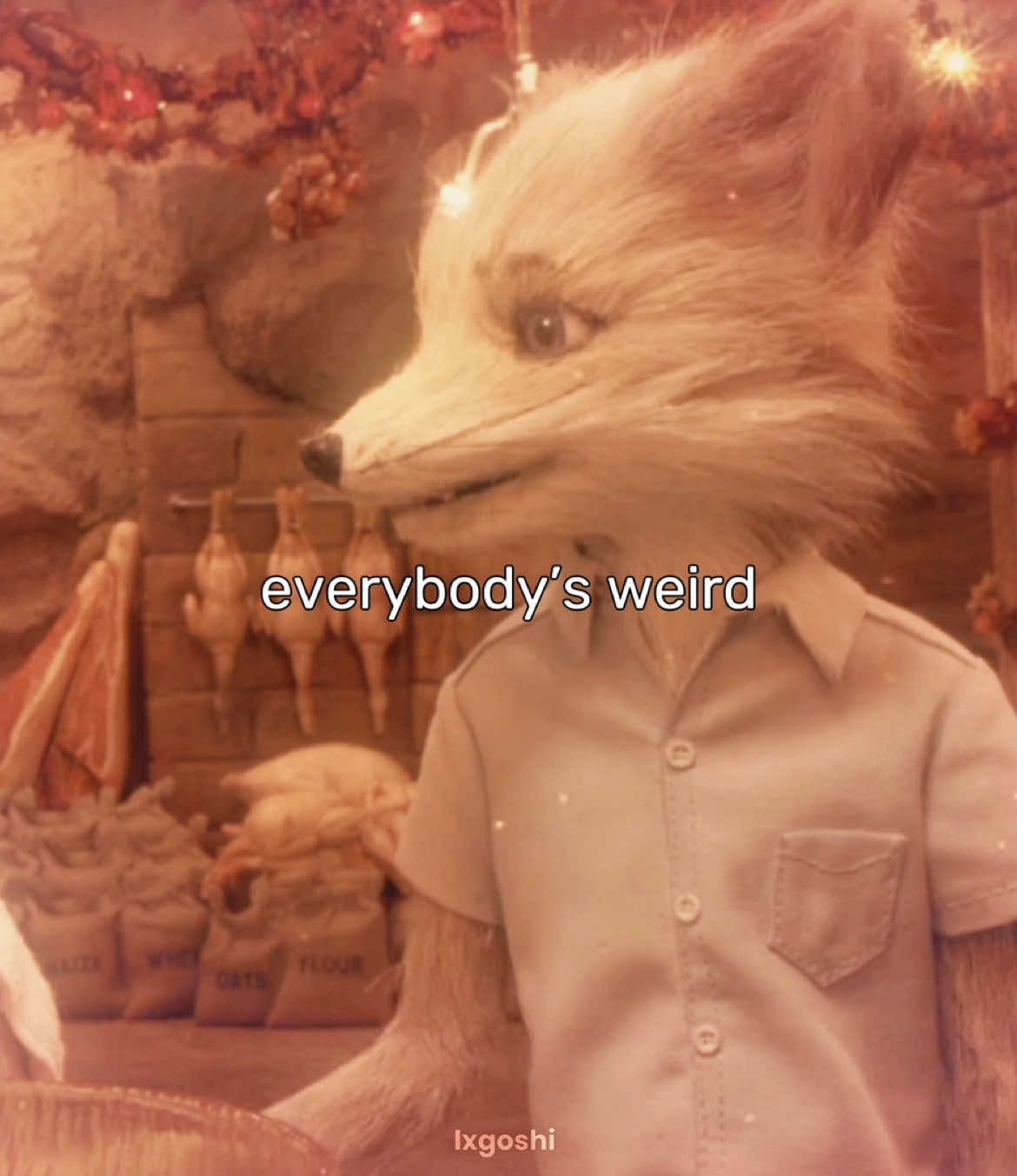 this audio is them || #edit #fantasticmrfox #fantasticmrfoxedit #fmf #fmfedit #ashfantasticmrfox #ashfantasticmrfoxedit #mrfox #ashfox #ashfoxedit #kristoffersonfantasticmrfox #kristoffersonfantasticmrfoxedit #viral #alexg #amiweird #different #foryou #lxgoshi #fyp
