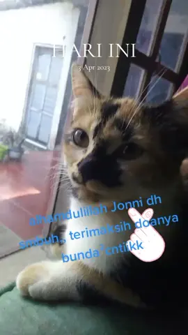 #padahariini