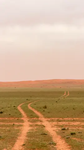 #explore #اكسبلور #viral 