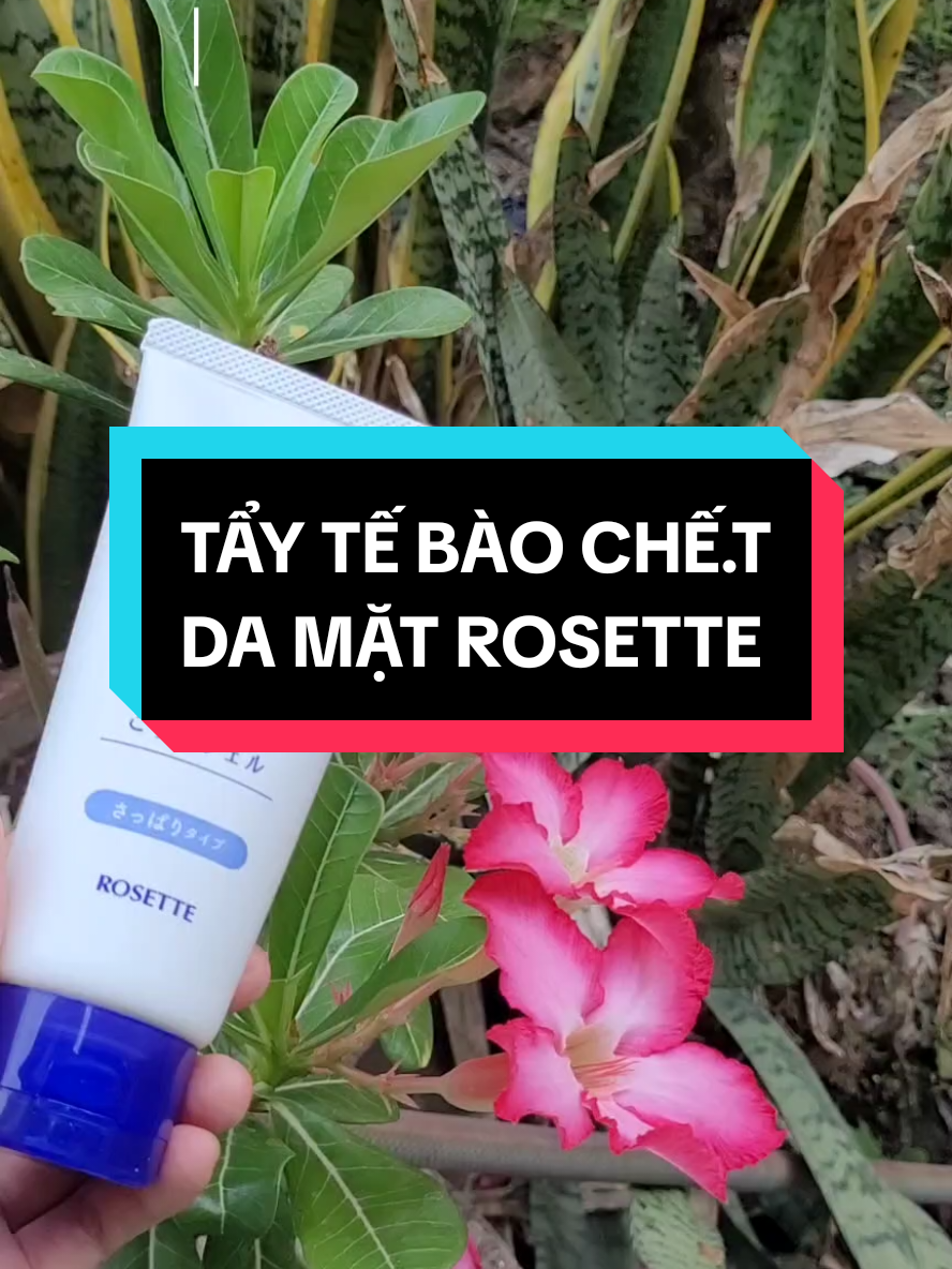 #taydachet #taytebaochet #rosette #xuhuong 