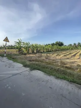 Nhường cap cho mấy đạikaaaa nee #xuhuongnha #xhhhhhhh #xuhuongggg #canhchill #motminh #xhhhhhhhhhhhhhhhhh #quocthanh