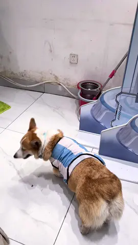 តាមជាងឪវាទៀត🤭🤣
