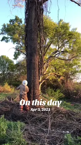 #onthisday 
