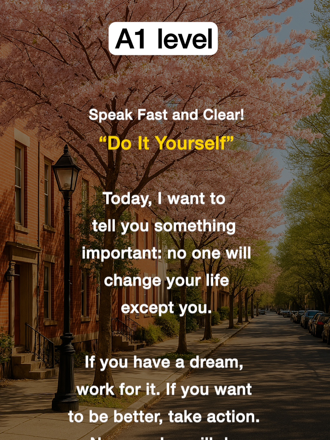 Do It Yourself🌸 #english  #speakingenglish  #learningenglish  #fyp