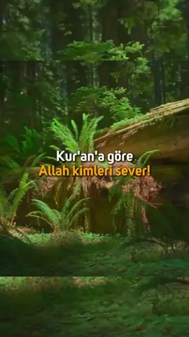 Allah'ım sen bizleri her daim sevdiğin kullar arasında olmayı nasip eyle 🤲 - - - - #allah❤️ #allahuakbar #sevgi #merhamet #dua #kuran #beniöneçıkart  #quran #elhamdülillah #lailahailallah #islam #muslim #sevmek #şefkat #dinivideolar #dinisözler #kesfet #kesfetteyiz #fyp #