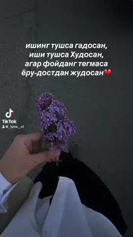 #shunaqa gaplar..💔#siren 🪻