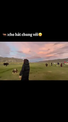 #nguthuhan #estheryu #yushuxin_虞书欣 #thuthachcuchan#xh #xhtiktok #xh 