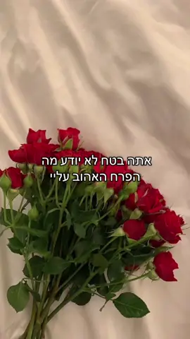 אבל הtop 5 הם ורד, היביסקוס, שקדיה, צבעוני, שושנת מים הכי מצחיק גם שאני אלרגית לאבקנים של רוב הפרחים פה🥲🥲