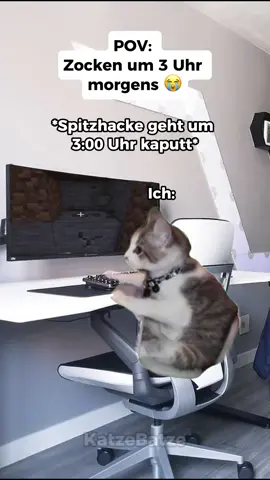 POV: Zocken um 3 Uhr morgens😭 #katzenvideos #catmeme #zocken #Minecraft