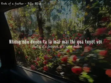 I love you, don't act so surprised... #thinhhanh #music #xuhuong #vietsub #birdsofafeather #billieeilish 