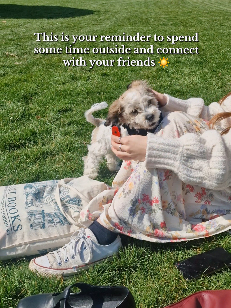 The little puppy that came to us made my day, so cute 🥺 #nature #naturevibes #picnic #picnicaesthetic #takecareofyou #connect #friendship #friendships #HealingJourney #healingtiktok #explorepage✨ #foryoupage❤️❤️ 