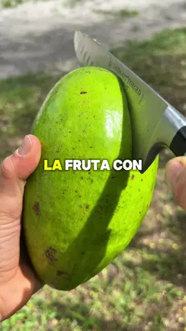 Sabías esto de las frutas 👀 sígueme para más consejos de salud 🧃🍏 #frutas #salud #jugosnaturales #jugossaludables 