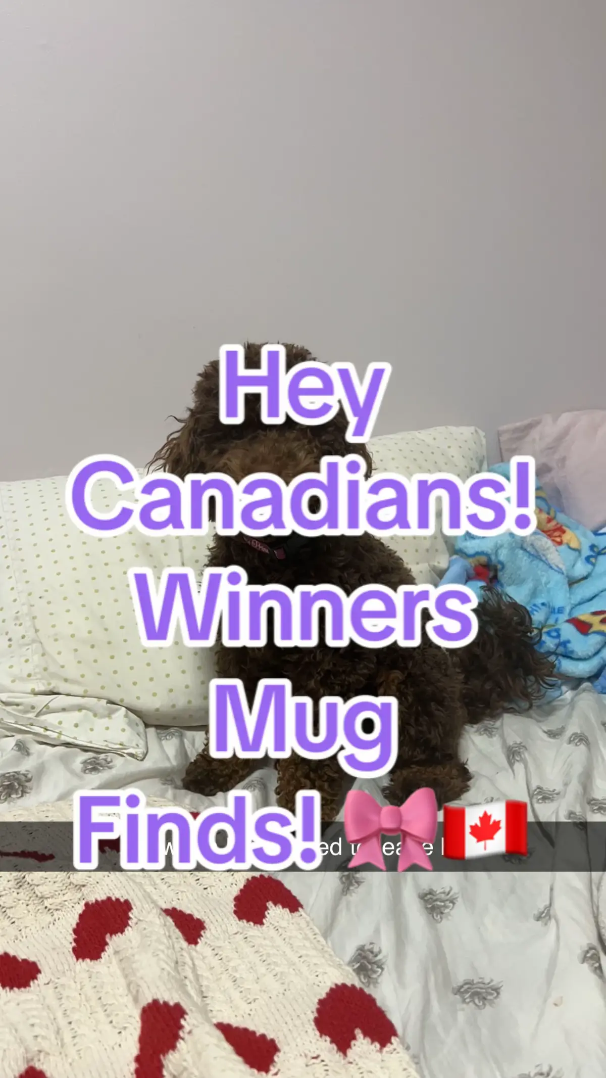 @winners #canadiancontent #canadiantiktok #canadianinfluencer #canadianfinds #winners #winnersfabfinds #winnersfinds #winnerscanada #winnerscanadafinds #winnersmoment 