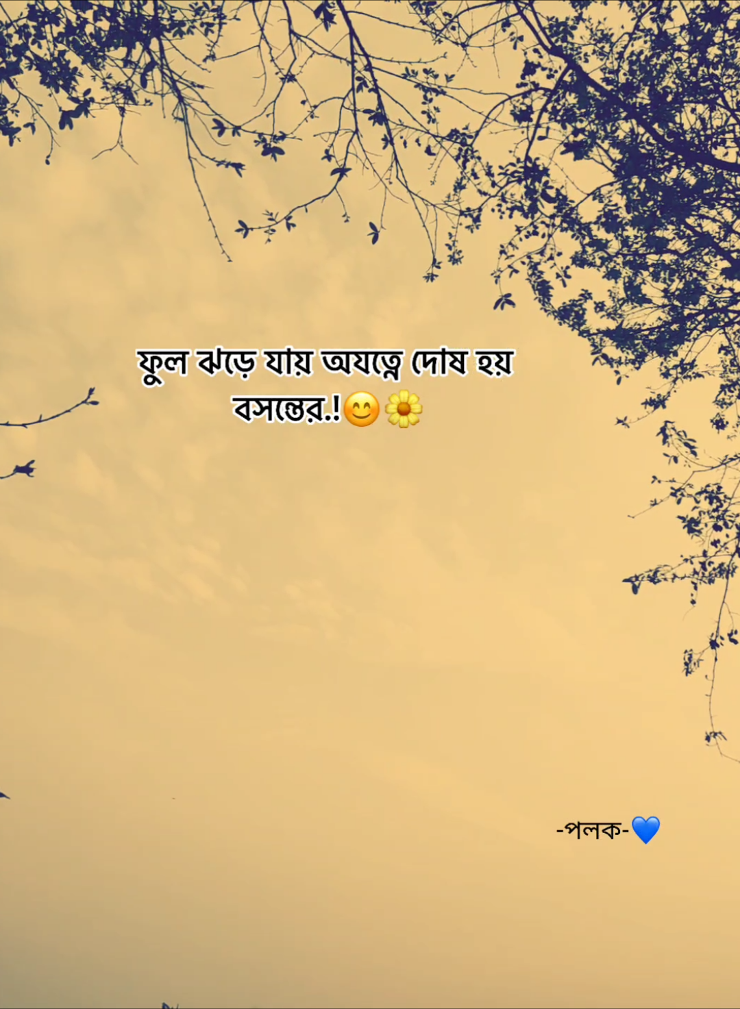 true 🌼😊 #viralvideo #foryoupageofficiall #sarkarnil2 #lyrics #plzunfrezemyaccount #statusvideo #foryou #fyp 